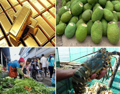 Tiêu dùng trong tuần (từ 1-7/6/2021): Giá vàng và trái cây giảm mạnh, thực phẩm leo thang