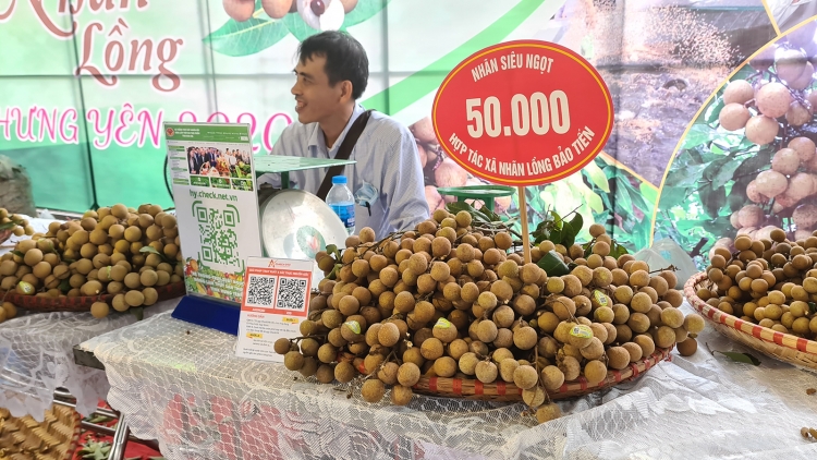 Gần 1.000 điểm cầu tham gia hội nghị tiêu thụ nhãn và nông sản tỉnh Hưng Yên năm 2021