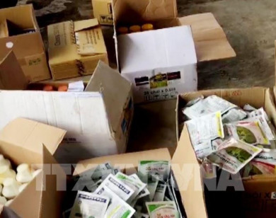 Phát hiện hơn 3.200 chai thuốc bảo vệ thực vật, phân bón không nguồn gốc ở An Giang