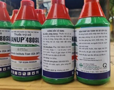 Gia Lai: Tạm giữ 2.000 chai thuốc bảo vệ thực vật chứa hoạt chất cấm sử dụng tại Việt Nam
