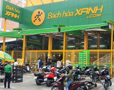 Hơn 300 cửa hàng Bách Hóa Xanh đóng cửa chỉ trong 2 tháng
