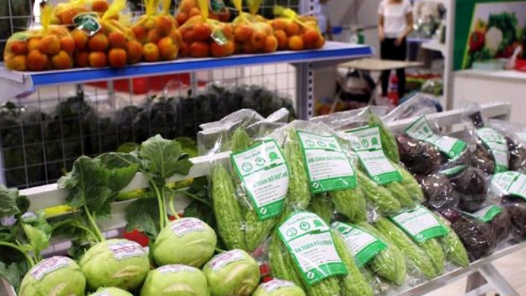 Xuất khẩu rau quả tăng 3,1% trong tháng 1
